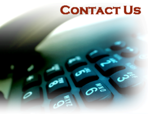Construction Phase Services
